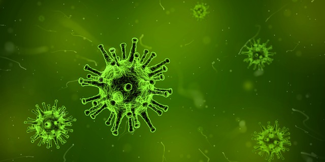 【痒疹の治療記録３】痒疹の原因かもしれない物質を探せ！パッチテストとアレルギー検査